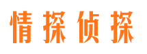 嘉黎市私家侦探公司